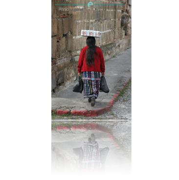 Image 31